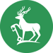 SSP Roundel-1
